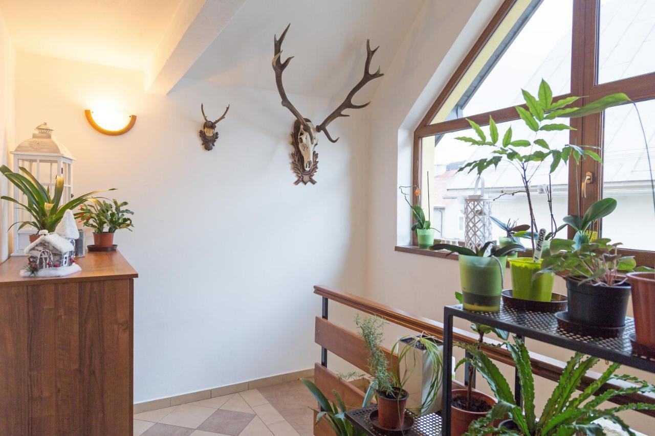 Apartmany Kenka Spisska Stara Ves Exteriör bild